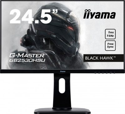 Iiyama G-Master GB2530HSU-B1